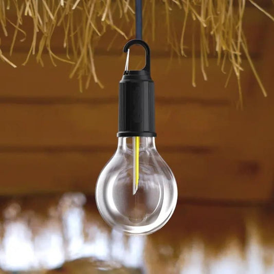 Decorative Hanging Bulb with 3 Modes Tent Lamp for Camping